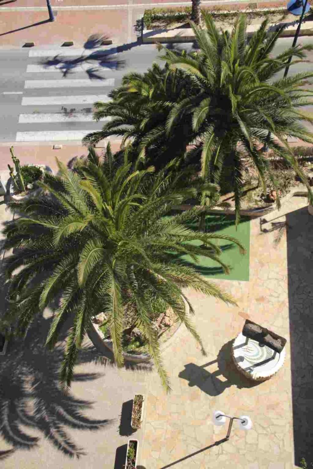 Apartamentos Florida II Peñíscola Dış mekan fotoğraf