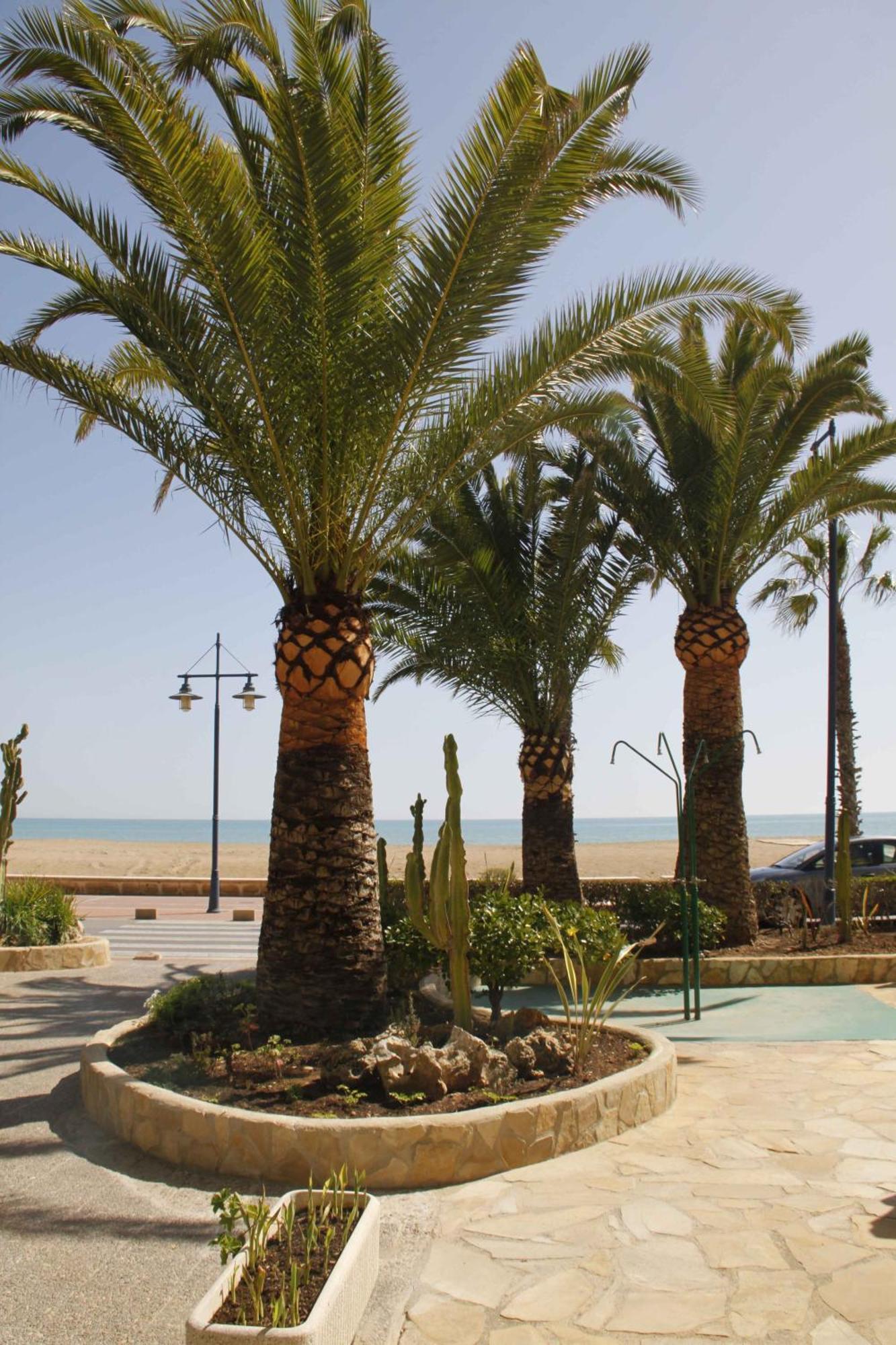 Apartamentos Florida II Peñíscola Dış mekan fotoğraf